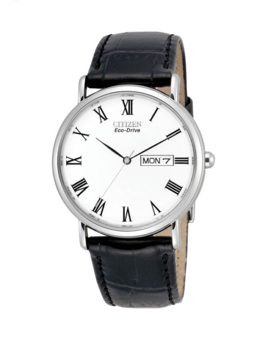 Citizen Eco-Drive Black Strap Watch
