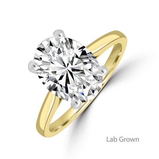 18ct Gold Platinum Oval Lab Grown Diamond Hidden Halo ring