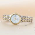 Citizen Eco-Drive Ladies Two-Tone Diamond Silhouette watch